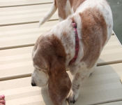 2015 July 04 SwensonLake 008